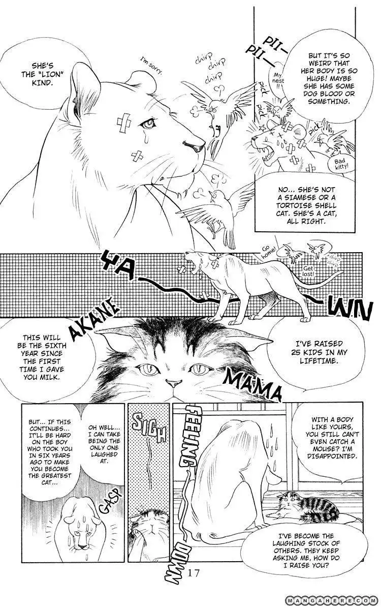 Wild Cats Chapter 1 15